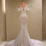 Most Popular - 008